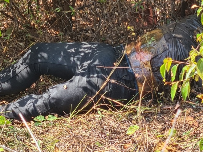 Corpo De Um Homem é Encontrado Em Estado Avançado De Decomposição E Com Sinais De Tortura 6673